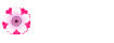 Tutkija