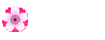 Yhteystiedot