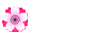 Poliitikko